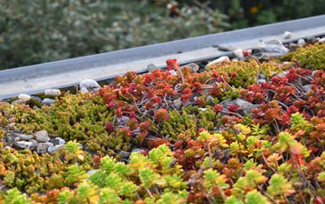 the cost of Llandyssil green roof installation