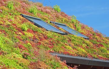 Llandyssil living roof systems